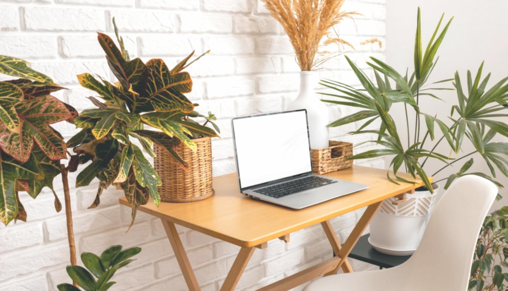 Cross-cultural business meeting with diverse team members